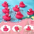 24 Pcs Flamingo Rubber Duckies, Pink Bath Toys, Floating Squeak Toy