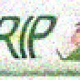 thumbnail image 1 of Omnigrid Feuilles de Quilting ClearGrip - 12.5"x36 Pouces (Lot de 3), 1 of 2