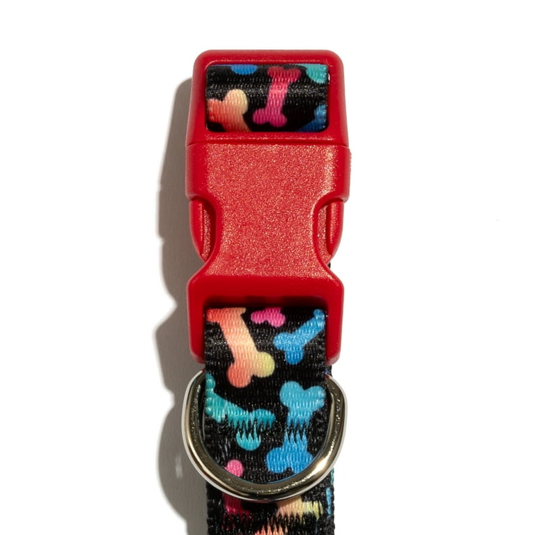 Vibrant Life Bone Print Fashion Dog Collar, Multicolored