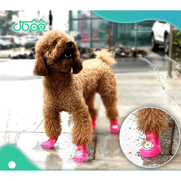 Pet Shoes & Booties -  Canada