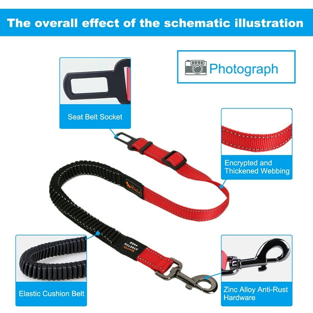 Dog safety leash car seat belt deals