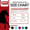 thumbnail image 2 of Jeffers Equine Arabian Nylon Horse Halter – Adjustable Equestrian Tack for Arabians, Full Size Horses, ¾" Wide, 2 Ply Nylon Webbing for Strength & Comfort, Cast Hardware, Travel Friendly - Dark Green, 2 of 4