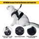 thumbnail image 4 of Arnés para gatito ajustable ultraligero, arnés y correa para gatos, cachorros y conejos, arnés de malla suave para animales pequeños, 4 of 5