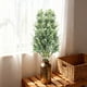 thumbnail image 5 of Tallos artificiales de eucalipto y plantas acuáticas para decoración del hogar | Arreglo floral con follaje artificial para jarrón, 5 of 7