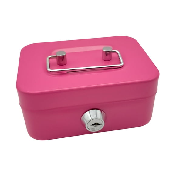 Cash Box with Lock Case with Top Handle Portable Souvenir Box Treasure Chest Pink