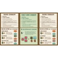 thumbnail image 5 of AEG: Cascadia: Rolling Rivers - Puzzly Flip-Roll-Write Board Game, Build Ecosystems, Explore PNW Nature & Wildlife, Ages 10+, 1-4 Players, 30 Mins, 5 of 9