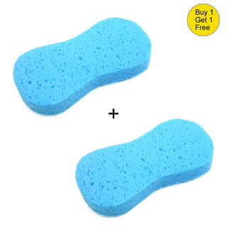 BUGS OUT Bug Removing Sponge (6 Pack) with Concentrated Car Wash Soap –  Tool Guy Republic