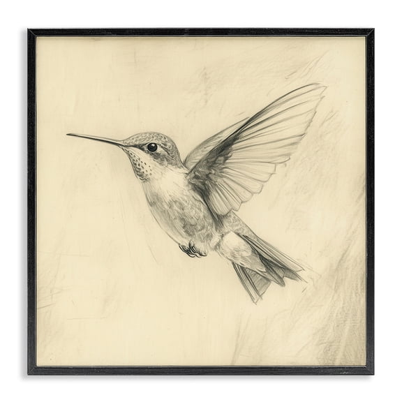 Stupell Industries Victorian Vintage Hummingbird Sketch Black Framed Giclee Art, 12 x 12, by Petals Prints Design