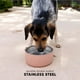 thumbnail image 3 of Cuenco de agua para mascotas Bentley simple y moderno de acero inoxidable, 3 of 6