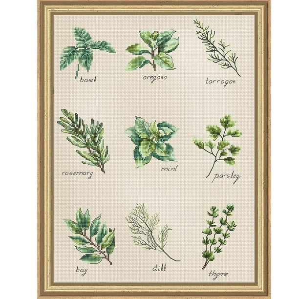 LucaS Spices & Herbs Counted CrossStitch Kit