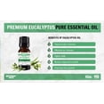thumbnail image 5 of Eucalyptus Essential Oil 10 mL (1/3 Oz) Pack of 3 for Aromatherapy - Premium Grade - Made with 100% Pure Therapeutic Grade Essential Oils by Sponix Set of 3, 5 of 10