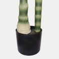 thumbnail image 3 of 6FT Golden Cane Artificial Palm Tree with Black Plastic Pot, Tropical Fake Plant for Indoor Outdoor Decoration, Faux Palm, 1pc/set, 3 of 4