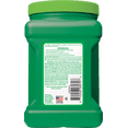 thumbnail image 3 of Green Gobbler Foaming Root Killer, Treats & Prevents Roots from Entering and Regrowing in Pipes, 4lb - 2 Treatments, 3 of 11