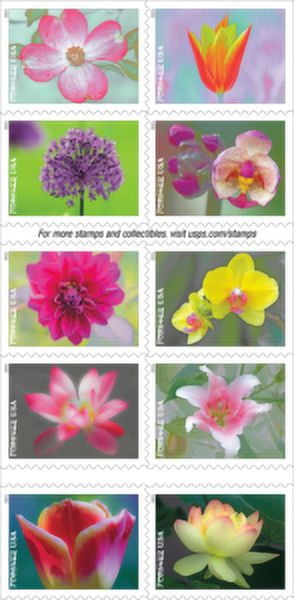 Garden Beauty Forever USPS Postage Stamps Book of 20 US Postal First Class  Wedding Celebration Anniversary Flower Party (20 Stamps)