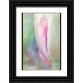 thumbnail image 1 of Murdock, Ramona 23x32 Black Ornate Wood Framed with Double Matting Museum Art Print Titled - Spring Beauty II, 1 of 4