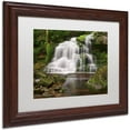 thumbnail image 2 of Trademark Fine Art 'Elakala Falls' Canvas Art by Michael Blanchette Photography, White Matte, Wood Frame, 2 of 4