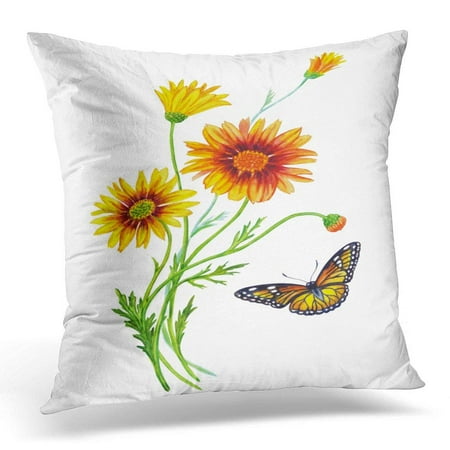 CMFUN Colorful Flowering Plant Ursinia and The Butterfly Monarch Watercolor Drawing on White with Clipping Path Pillow Case Pillow Cover 18x18