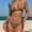 Color 03, variant on Women's Triangle Bikini Set Halter String Two Piece Swimsuit High Cut Sexy Bathing Suit Cheeky Cute Swimwear