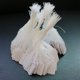 thumbnail image 4 of Giyblacko - Oferta de útiles escolares, notas adhesivas, etiquetas blancas, papel de regalo, tarjetas para joyería, ropa, mensajes, etiquetas en blanco, 500 unidades, oficina y papelería, 4 of 8