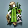 thumbnail image 3 of ColorProof Baobab Heal and Repair Shampoo for Unisex 250 ml / 8.5 oz, 3 of 6