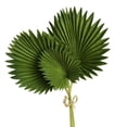 thumbnail image 1 of 3 Piezas Hojas de Palma Artificiales Manojo de Plantas Falsas de PláStico Verde Hojas de SimulacióN Arreglo de Flores DecoracióN del Hogar, 1 of 5