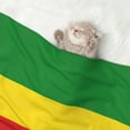 thumbnail image 7 of Pet Blanket Rastafari Flag Soft Warm Sofa Car Bed Protector Washable for Puppy Large Dogs Cats, 7 of 7