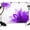 Purple, variant on Purple Backdrop for Photography,Fabric Photo Background Backdrop,Boho Modern Floral Abstract Ombre Leaf White Photo Booth Background for Portrait Photoshoot Video Wedding Decoration Banner 10x8ft
