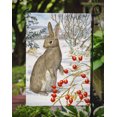 thumbnail image 3 of Carolines Treasures ASA2035GF Rabbit With Berries Flag Garden Size, 3 of 3