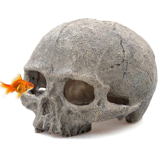 Decoración del cráneo del acuario, decoraciones del tanque de peces de resina cueva Betta Fish Hiedout casa de reptiles para peces pequeños, camarones