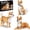 3IN1 Shiba Inu Dog, variant on 3 in 1 Hound Dog Mini Building Blocks Set, 1032 PCS Micro Building Kit for Adults & Teens, Small Brick Animal Model, Desk Decor Display Gift