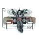 Krator Cateye Plaque d'Immatriculation Feu Arrière Feu de Frein Compatible avec Yamaha YZF R1 R1S R6 R6S 600R – image 4 sur 5