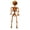B002- Orange, variant on Skeleton Halloween Decor, Orange Hanging Pumpkin Skeleton Decoration, for Halloween Lawn, Window, Porch, Indoor Party, Haunted Mansion, Trunk Or Treat Setup, Adds Creepy Festive