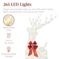 thumbnail image 4 of Best Choice Products XL Lighted Christmas 5ft Reindeer & Sleigh Holiday Outdoor Decor Set w/265 LED Lights - White, 4 of 7