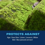 BioAdvanced 2-in-1 Moss & Algae Killer, Ready-To-Spray, 32 FOZ (2-Pack)
