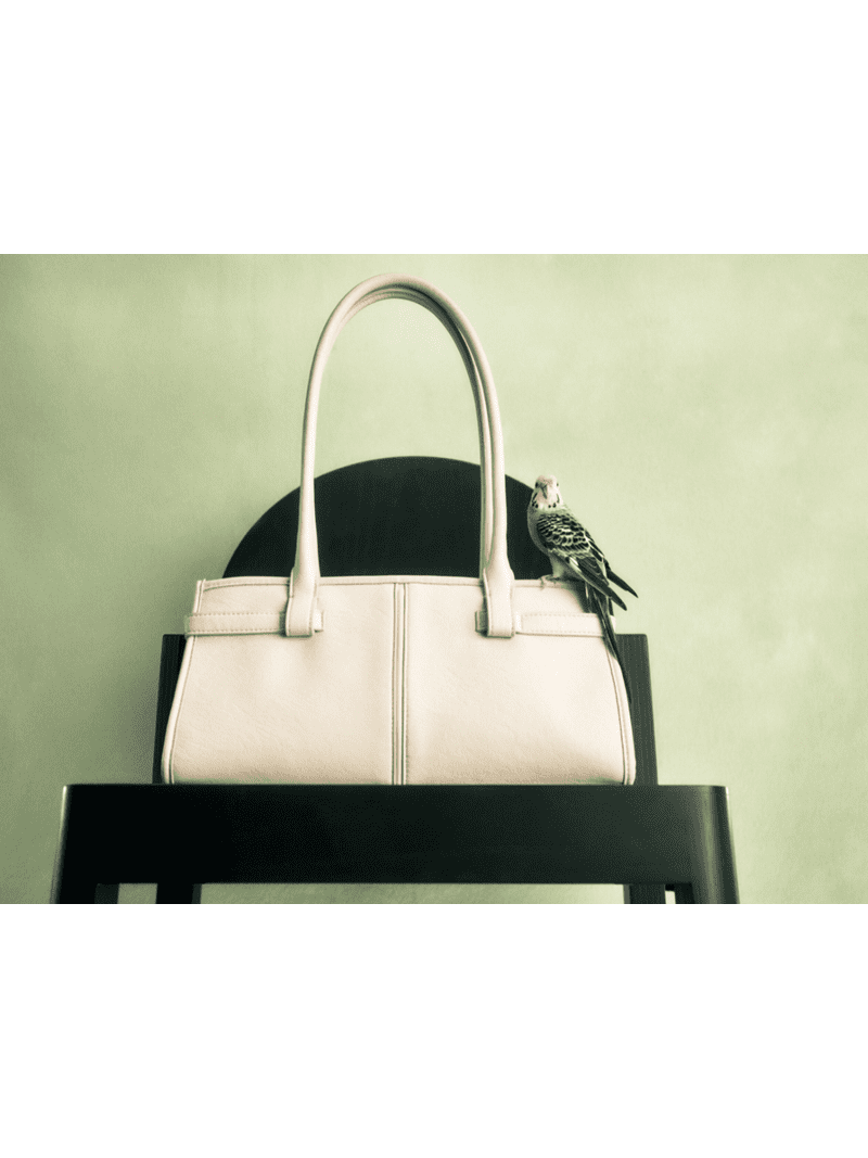 Time and Tru Women's Faux Leather Gwyn Shoulder Handbag, Bleached