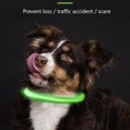 thumbnail image 3 of AMERTEER USB Rechargeable LED Dog Collar Glowing pet Dog Collar for Night Safety  Water Resistant Cuttable TPU Light Up Collars Fashion Light up Collar for Small Medium Large Dogs, 3 of 8