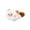 A005- E, variant on Plush Raccoon Stuffed Animal with Soft Faux and Prone Pose, Single Piece, Gray and White, for Kitchen Refrigerator, Decoration