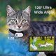 thumbnail image 3 of Catcam Pro, Cat Cam Pro 2.0, HD 1080p Video Camera Mini Collar Camera, 3 of 5