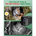 thumbnail image 4 of Caja inteligente para ardillas KineTcam de Squirrel House con cámara HD 2K, 4 of 9