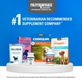 thumbnail image 3 of Nutramax Cosequin for Senior Dogs Joint Health Supplement, Soft Chews, 60 Count, 3 of 13