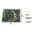 thumbnail image 2 of Amazon Rain Forest Brazil - Palm Trees - Hunting Cheetah - Vintage Botanical Illustration by Carl Friedrich Philipp von Martius c.1820s - Fine Art Matte Paper Print (Unframed) 30x44in, 2 of 4