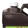 thumbnail image 4 of Hi-Yield Killzall 1 Gal. Concentrate Weed & Grass Killer 33693, 4 of 6