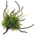 thumbnail image 1 of unbranded De Artificiales Resistentes Para Acuario Con Detalles Vivos Y Natural, 1 of 5