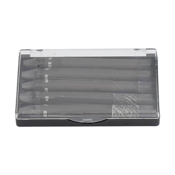 Tige en Graphite, 5 Pcs Bâtons en Graphite Poudre Toucher Délicat pour Aquarelle pour Croquis
