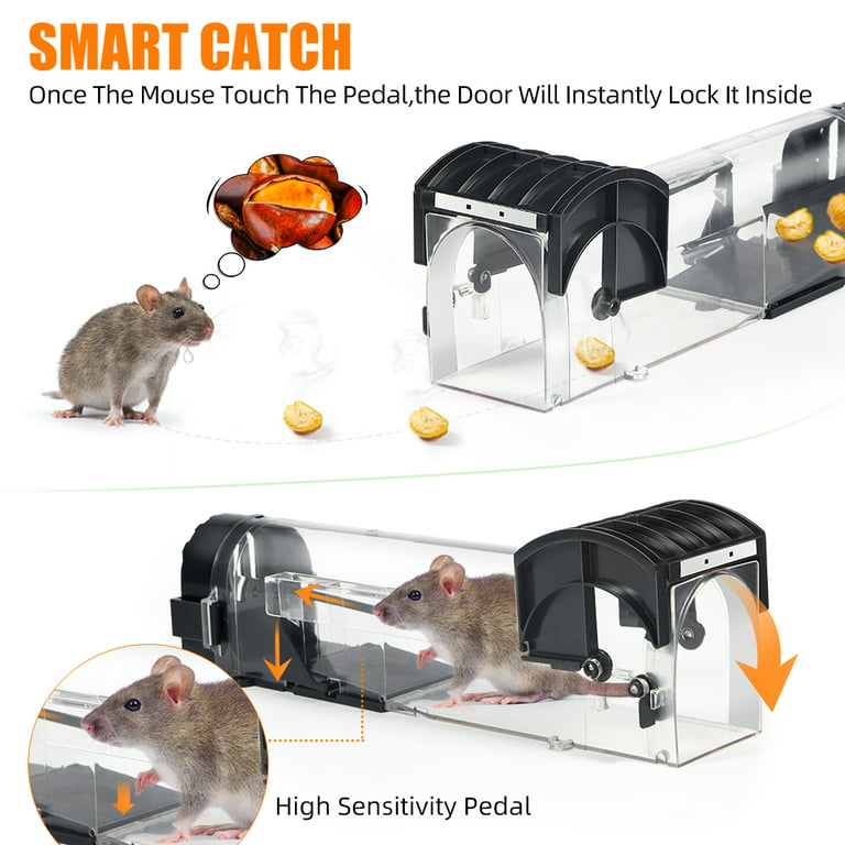 Catch and kill mice catch without having to see or touch them