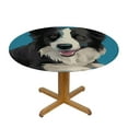 thumbnail image 3 of JEUXUS  Border Collie Round Table Cloth Waterproof Dining Table Cover Decorative Picnic Tablecloth, 3 of 7