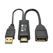 Tripp Lite P130-06N-DP-V2 HDMI & DVI Displayport Converter USB Power