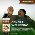 thumbnail image 3 of Mushroom Supplements Blends Liquid Extract 12fl.oz, Reishi, Chaga, Turkey Tails, Organic Lion's Mane, Nootropic Brain Supplements for Memory and Focus - Herbal Goodness, 3 of 6