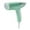Light Green, variant on Travel Steamer Portable Mini 1000W Handheld Foldable Fast Heating Fabric Garment Steamer 120V for Home Business Travel