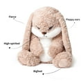 thumbnail image 4 of Grumpy Easter Bunny Stuffed Animal,Valentine's Day Plush Rabbit Stuffed Animals with Floppy Ears,Cuddly Soft Plush Toys Huggable,Perfect Valentine's Day Gift(38cm), 4 of 6